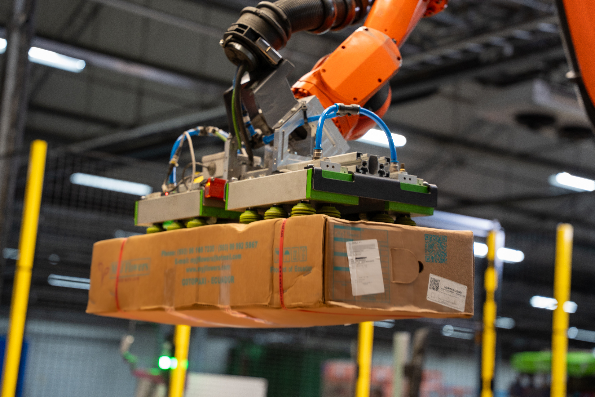 DUND palletizing robots processing flower cargo