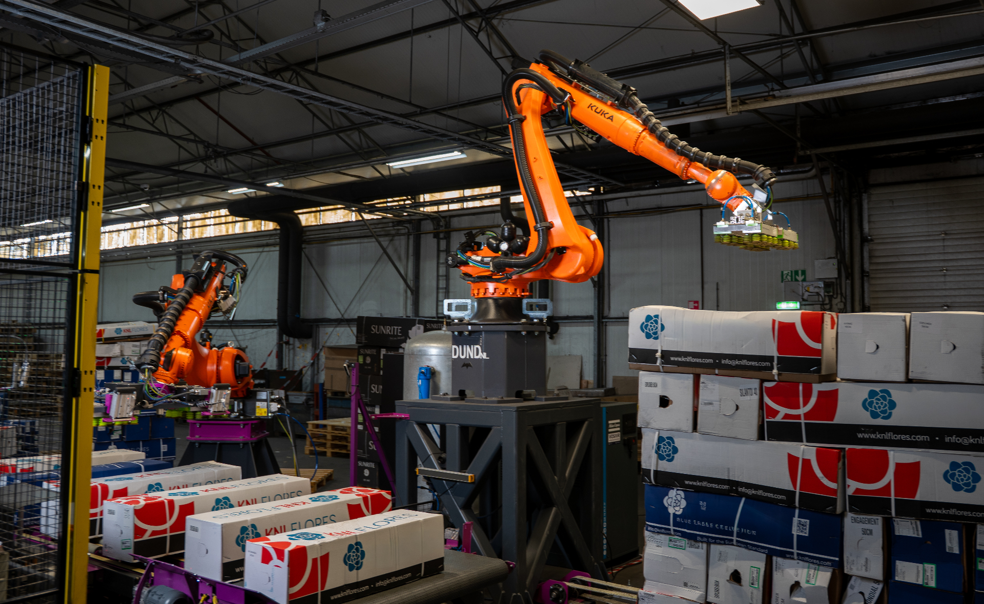 DUND KUKA palletizing robots handling flower cargo