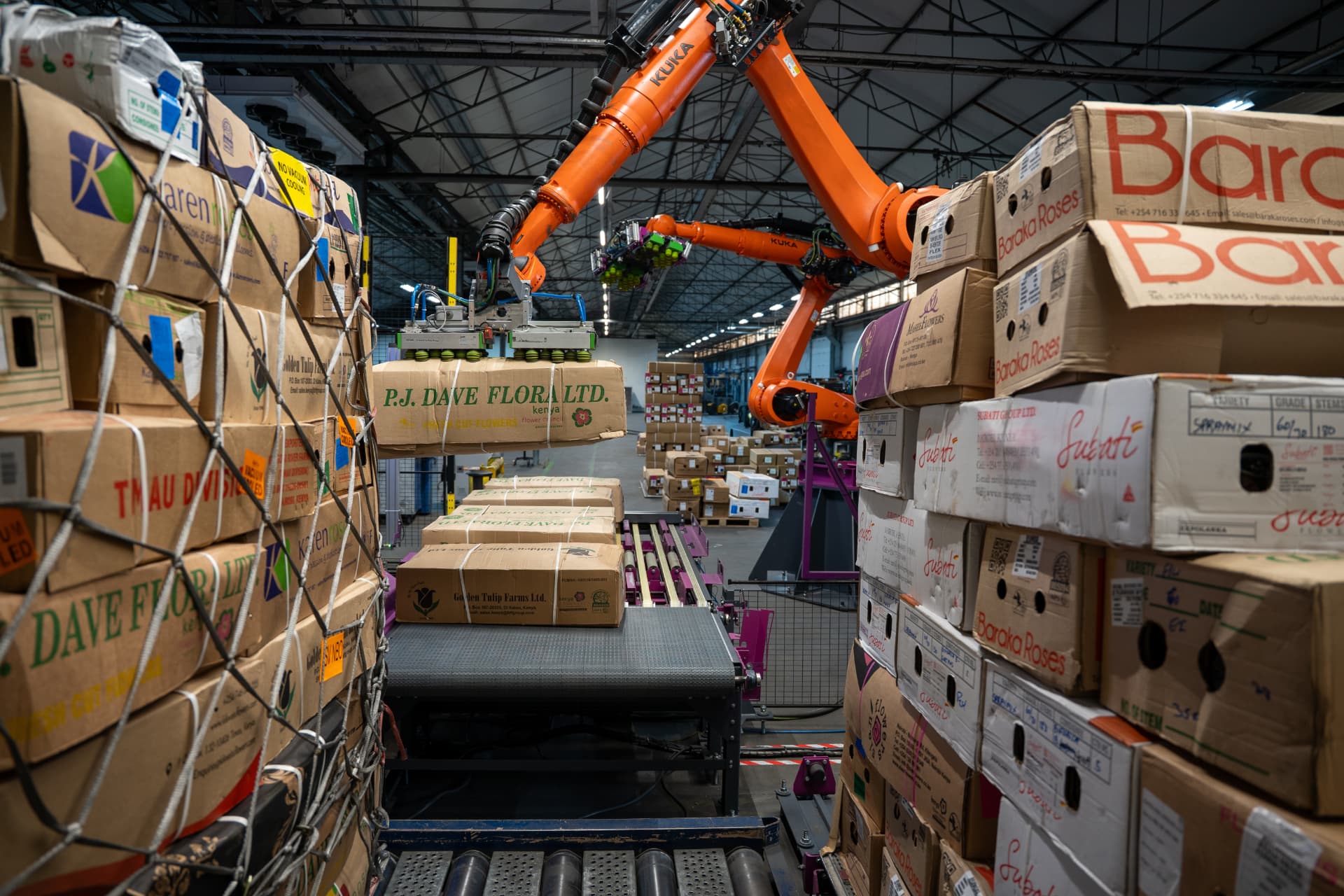 DUND robotic arm picking flower cargo boxes