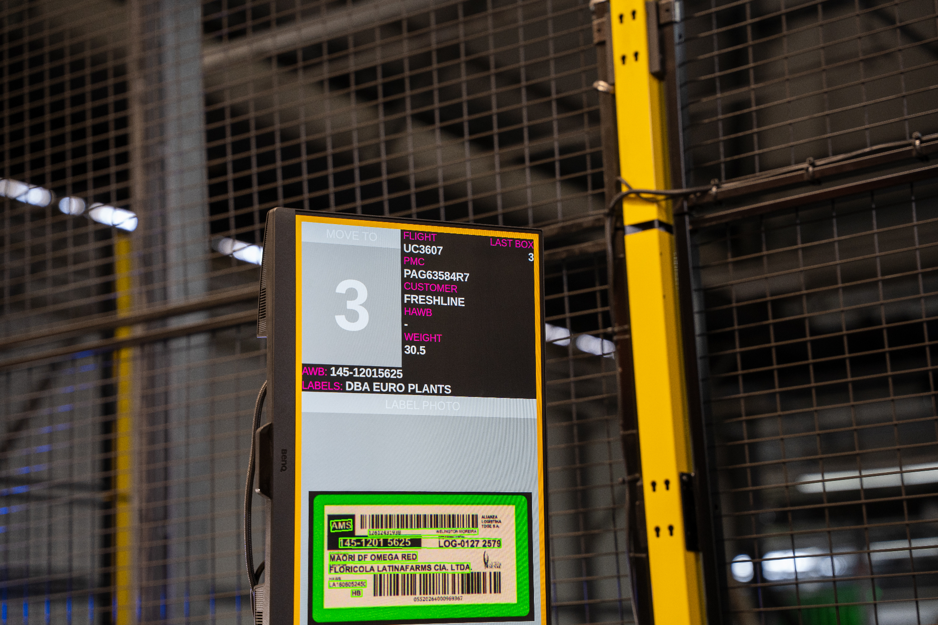 Scan & Sort