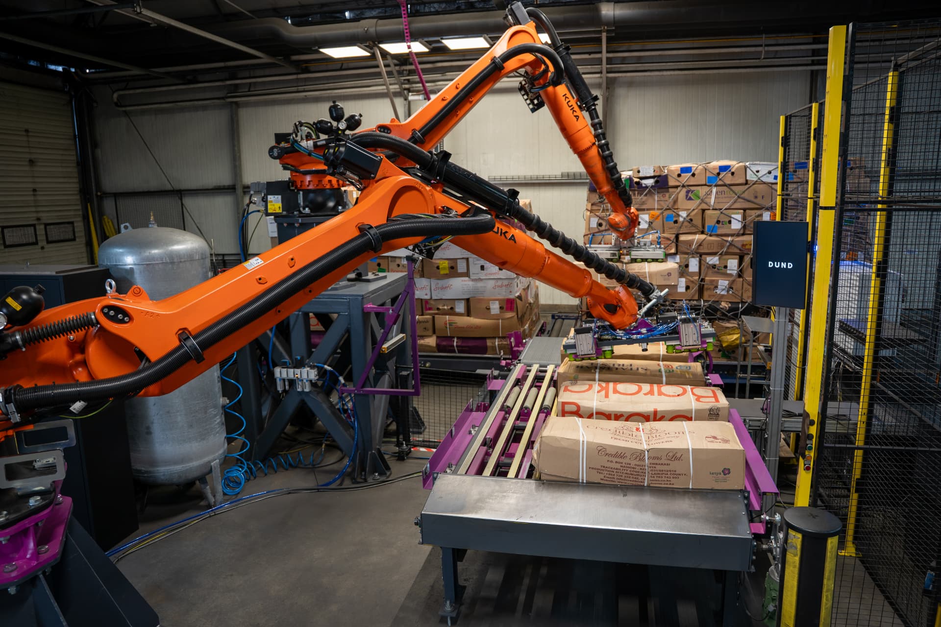 DUND KUKA palletizing robots handling flower cargo